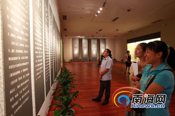海口市民正在欣赏“扬州八怪”作品(南海网记者陈望摄)