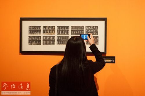 资料图片：2013年12月2日，一位参观者在展览上拍摄英国艺术家弗朗西斯·培根的作品。新华社记者李芒茫摄