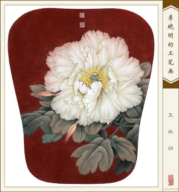 李晓明花鸟工笔画扇面小品