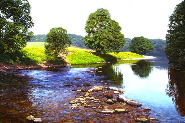 人生如路，需在荒凉中走出繁华风景。一一英国 Michael James Smith 的风景油画