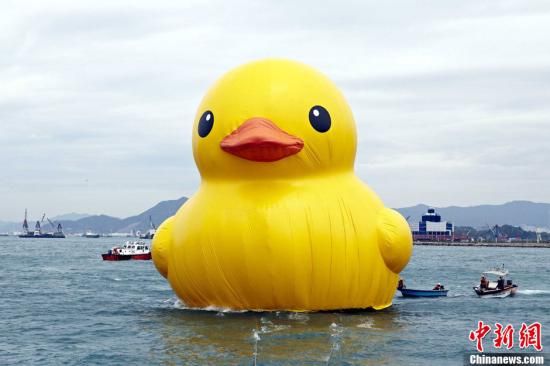 5月2日，在全城的翘首期待中，巨型黄色橡皮鸭“RubberDuck”晃着它六层楼高的圆滚身子，一摇一摆地“游”到了香港维多利亚港。中新社发谭达明摄