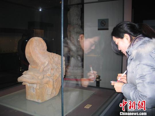2012壬辰年陕西龙文物精品展在西安博物院开幕