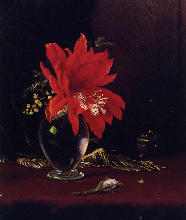 【油画】美国MartinJohnsonHeade《花香鸟语》