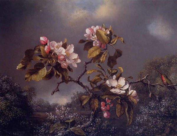 【油画】美国MartinJohnsonHeade《花香鸟语》