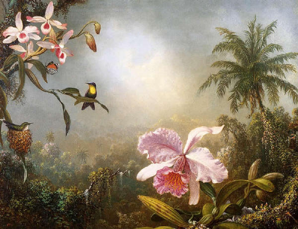 【油画】美国MartinJohnsonHeade《花香鸟语》