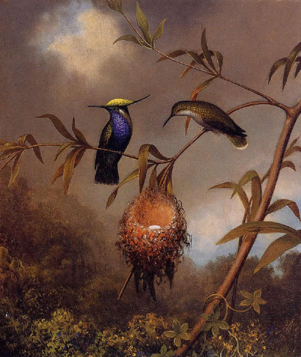 【油画】美国MartinJohnsonHeade《花香鸟语》