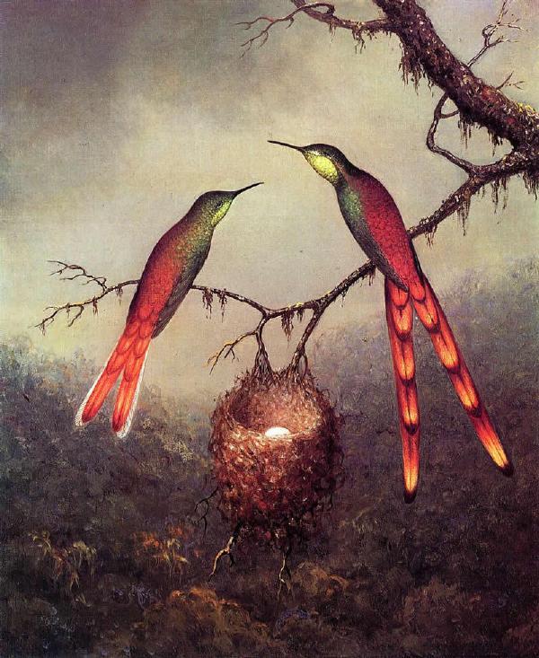 【油画】美国MartinJohnsonHeade《花香鸟语》