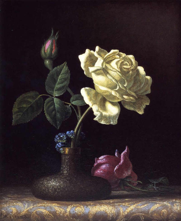 【油画】美国MartinJohnsonHeade《花香鸟语》