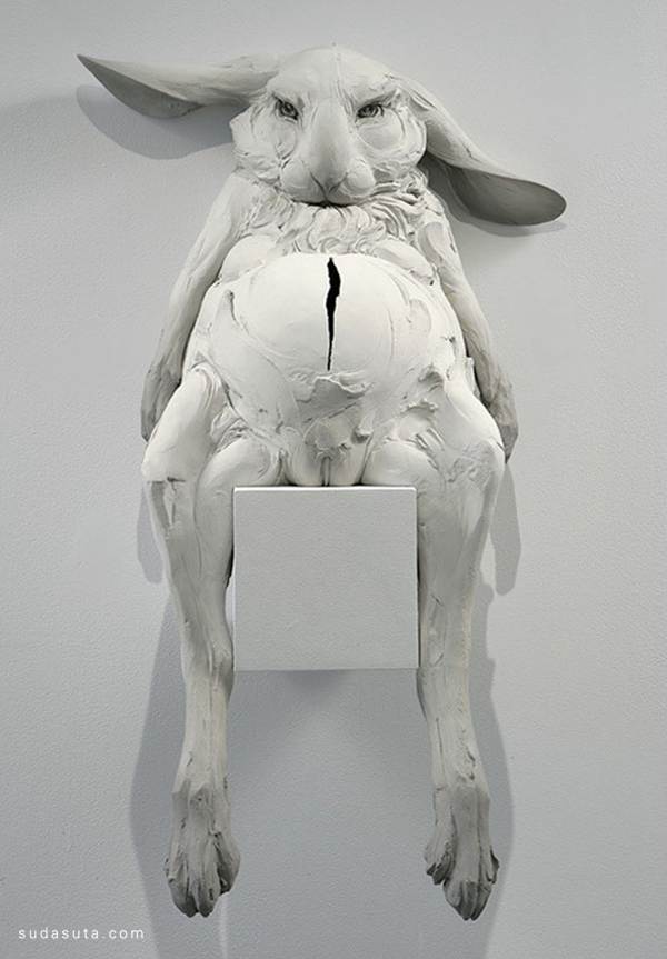 BethCavenerStichter雕塑设计欣赏雕塑设计雕塑野生动物艺术环保动物