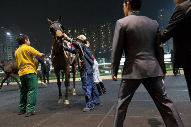 跑马地真正的赢家亦是精英俱乐部-香港赛马会的会员，他们拥有包括进入限制区测量马匹的特权。香港赛马会是全港最大的纳税人，掌控着各种合法赌博形式以及彩票买卖。