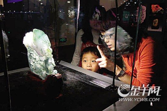 广州市民在广东省博物馆观看展览。夏世焱摄（资料图）