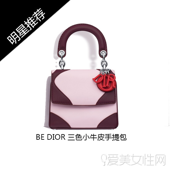 Be Dior手提包