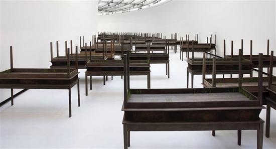 多丽丝·萨尔塞多（Doris Salcedo）在古根海姆的个展（2015年6月26日－10月12日）