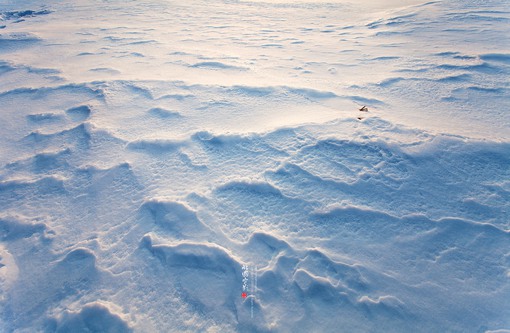 poco摄影师Eric.Peng的北国冬季雪景风光摄影欣赏