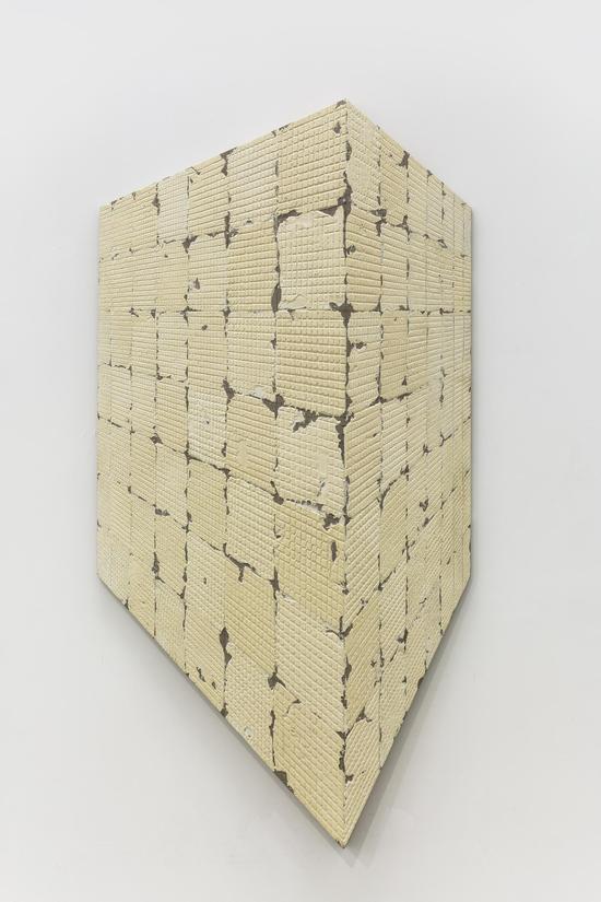 蔡磊作品 《8.82平方米》8.82 square meters  106x212cm   布面丙烯  2015