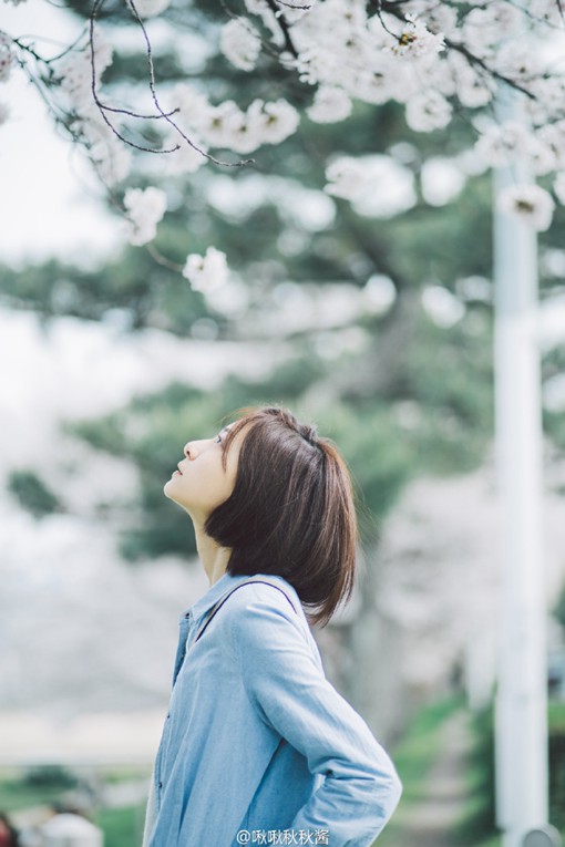 甜美日系美女与樱花树摄影