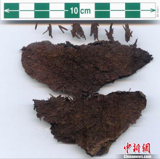 图为出土的茶叶。　汉阳陵博物馆　摄