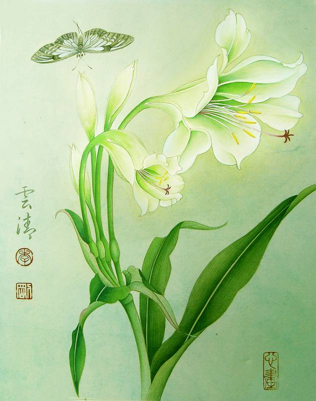 李刚工笔画-油葱花