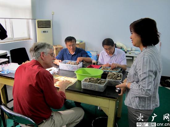 中外学者观察灵井许昌人遗址出土动物化石