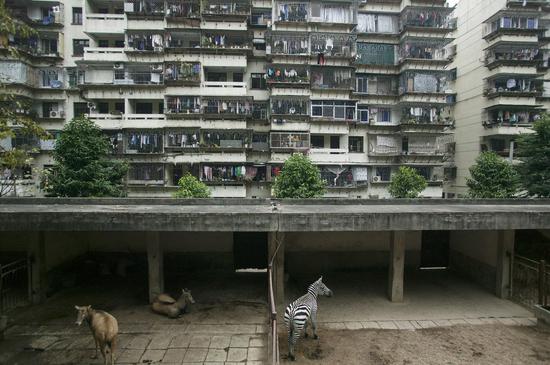 福州.福建.Fuzhou.Fujian.2005 80cm x 53cm艺术微喷