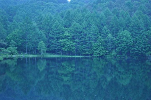 湖边树林与水中倒影的唯美写意自然摄影图片