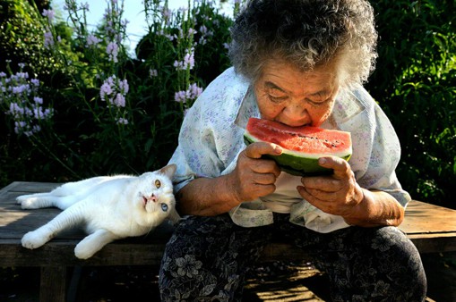 老奶奶与一只猫的乡村生活摄影图片