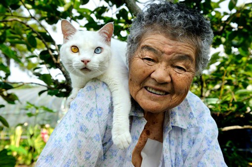 老奶奶与一只猫的乡村生活摄影图片