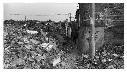 周边拆迁后的场景，遍地瓦砾，一片狼藉。 中国绿发会供图