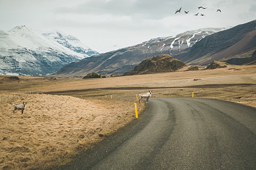 冰岛的路_唯美冰岛风光摄影图片