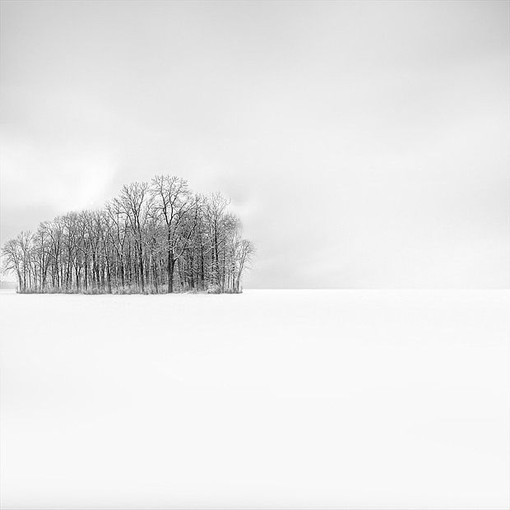 冬季冬天野外风光摄影图片