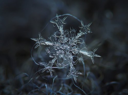 Alexey Kljatov,微距雪花摄影图片