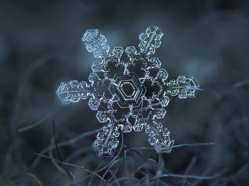 Alexey Kljatov,微距雪花摄影图片