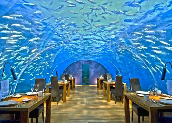 马尔代夫海底餐厅
