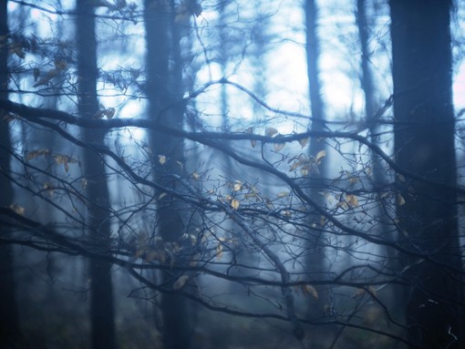 摄影师Mia Morvan自然动人的生态风光摄影