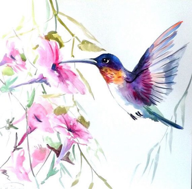 画师于飞的唯美蜂鸟水彩画作品