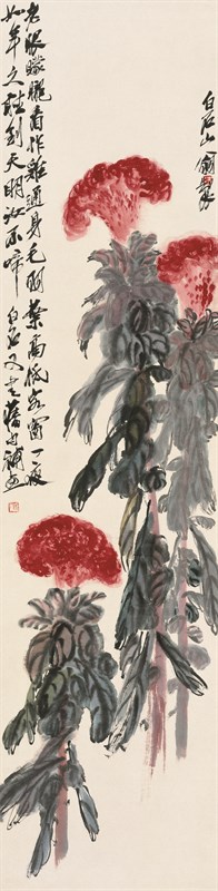 鸡冠花 135×33cm 纸本设色 无年款