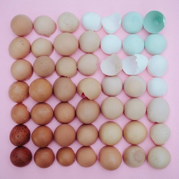 蔬菜与鸡蛋的渐变色创意摄影图片