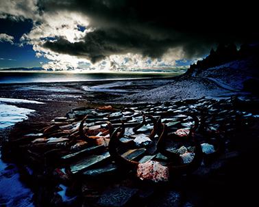 Man and Sky As One Series-Skulls天人合一系列-牛头骨 photo 2004 127x159cm
