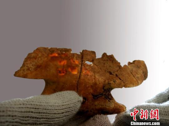 卜甲上的“兆纹”。陕西省考古研究院供图