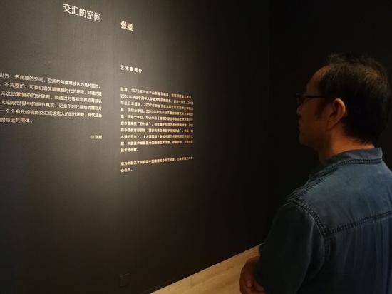 中国艺术研究院院长连辑先生观看展览