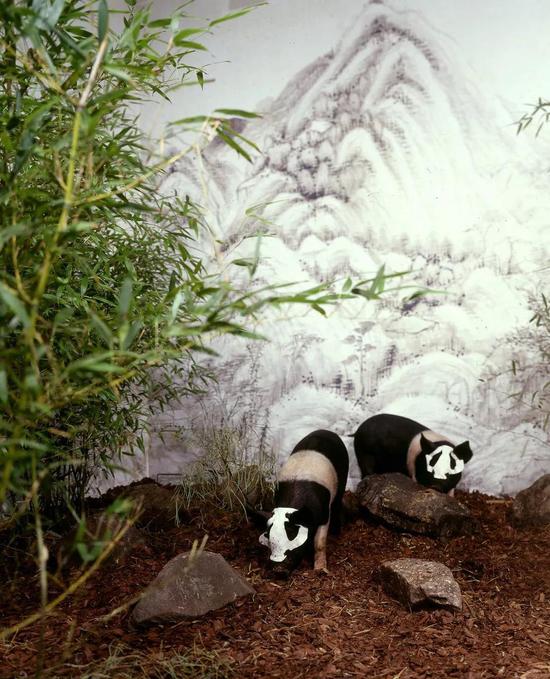 徐冰，《熊猫动物园》，1998，