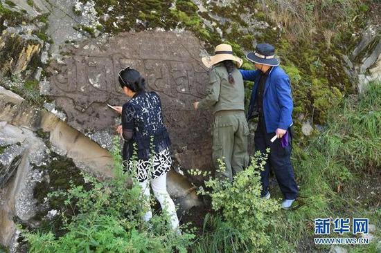 青海省博物馆的文物研究专家在清理摩崖石刻藏经上的苔藓杂草（8月18日董连生 摄）