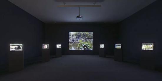 今晚的月亮，2000