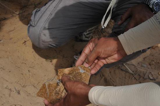 联合考古队在当地发现北宋晚期中国瓷器碎片