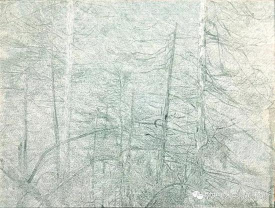 曹轶，黑森林No.3，149x198cm，纸本丙烯，2018
