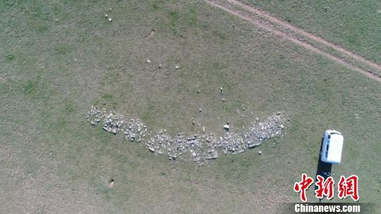 图为调查发现的突厥九联石板墓。 内蒙古自治区文物考古研究所供图 摄