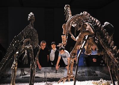 南京博物院，观众在参观展出的恐龙化石。图/视觉中国