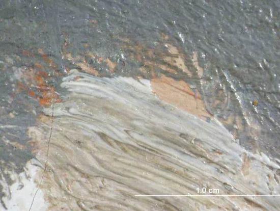显微照片显示河水倒影中的“肤色”