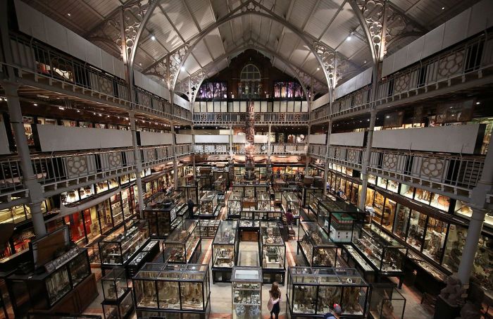 1200px-Interior_of_Pitt_Rivers_Museum_2015