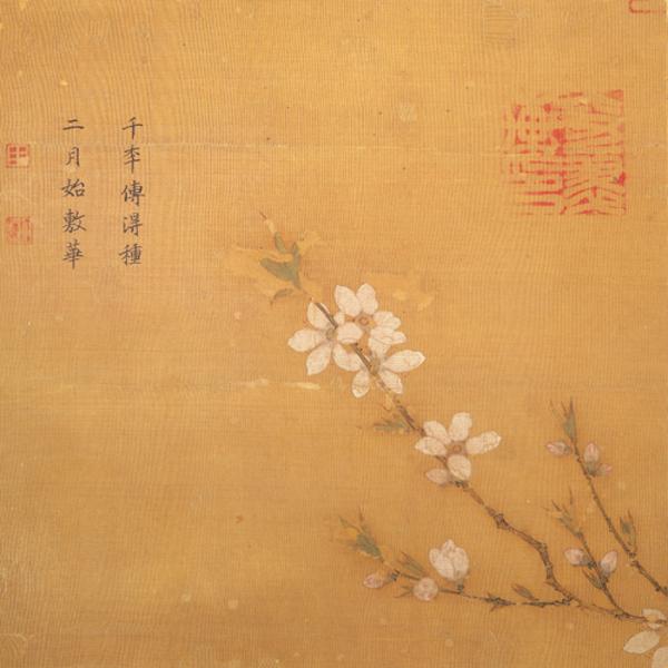 宋代无款“桃花”图，台北故宫博物院藏。